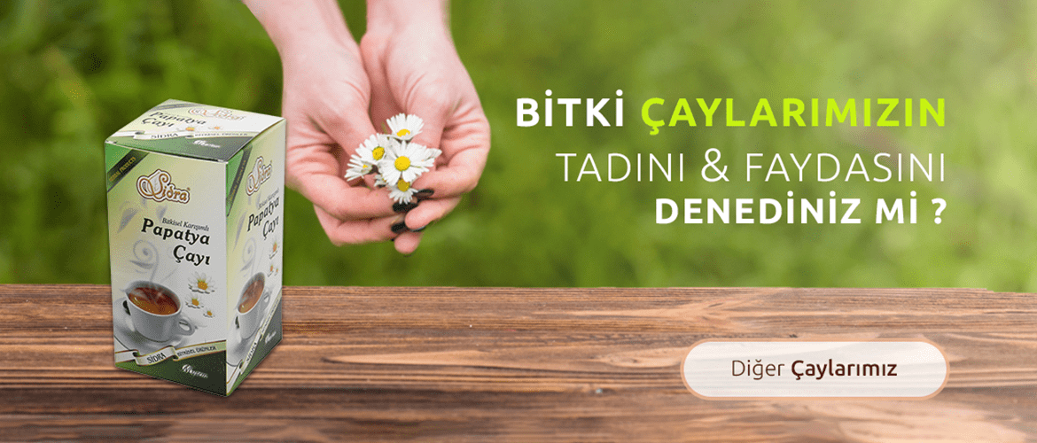 9ac5796311b8188f5ae857b20024bc543f6171be 90c2d926c5cce8bda7176f6a3db6bcf1328a12ad asfasf min