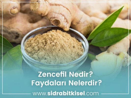 Zencefil Nedir? Faydaları Nelerdir? 13 zencefil nedir