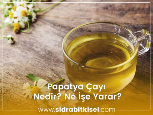 Papatya Çayı Nedir? Ne İşe Yarar? 11 Papatya Çayı